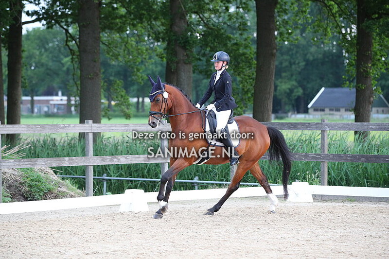Groenewoude Dressuur 26-05-2024 12.45 uur M2/M1