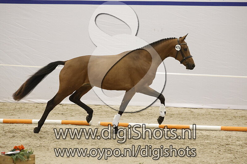 Sohn de Romancier v. Next Romancier