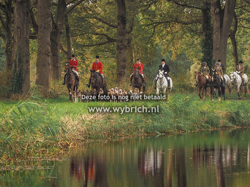 8 Orvelte 28-10-2023