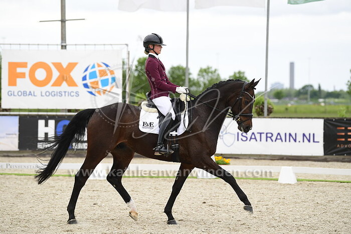 Eline van Egmond - Sparrow