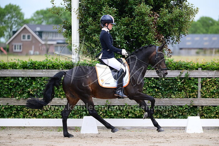 Sanne Glissenaar - Filippo