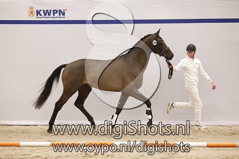 Solo Tetti v. Jovian