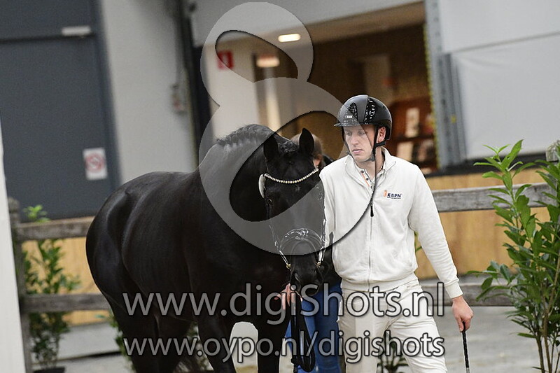 Rodin St-j v. Dynamic Dream - 336