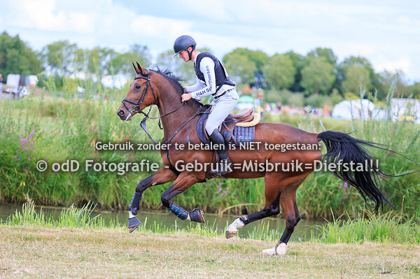 SGW West Betuwe Paard B 23-08-25
