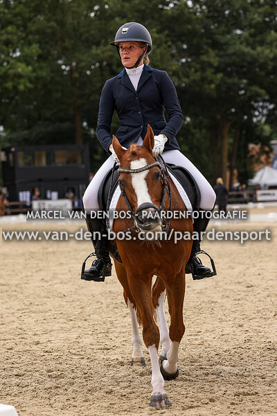 20230721-Ring-3-104-105-pony-Z2 - nr6 - nr11