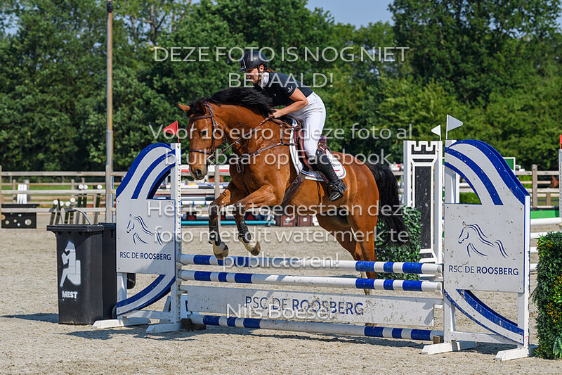 3 Klasse Paarden 80cm