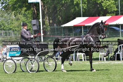 DS24 regionaal grote limiet