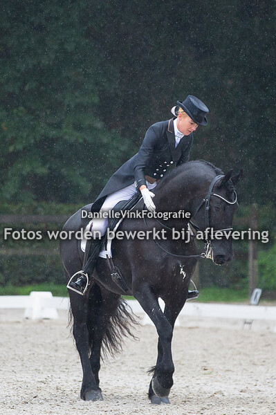 Harmina Holwerda - Esther fan 'e Sjongedyk