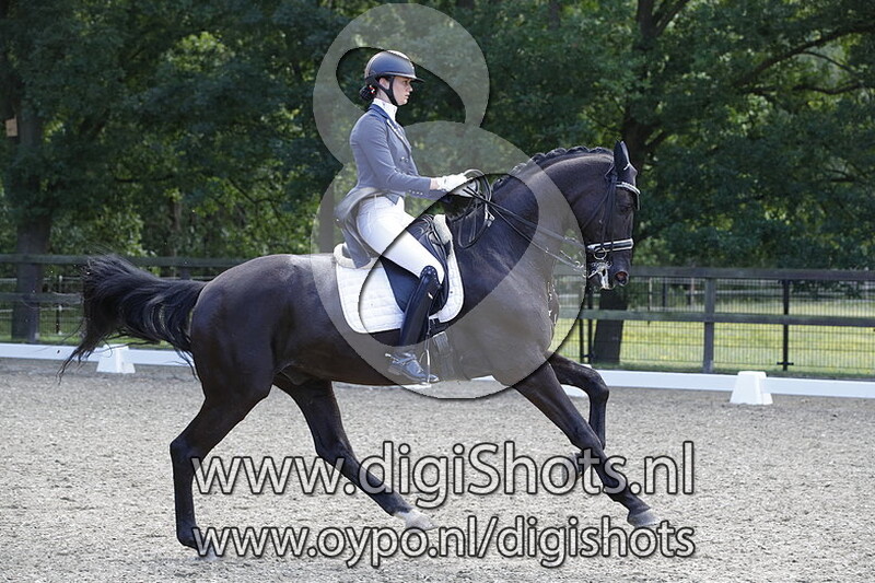 Grand Gribaldi de La Fazenda