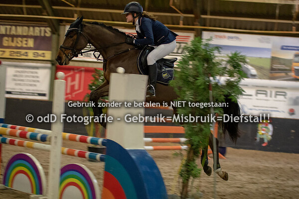Regiokampioenschap Springen Pony's 09-02-19