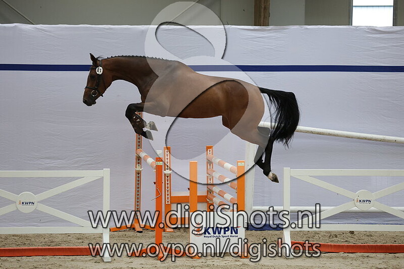 Sarissa v. Landino VDL