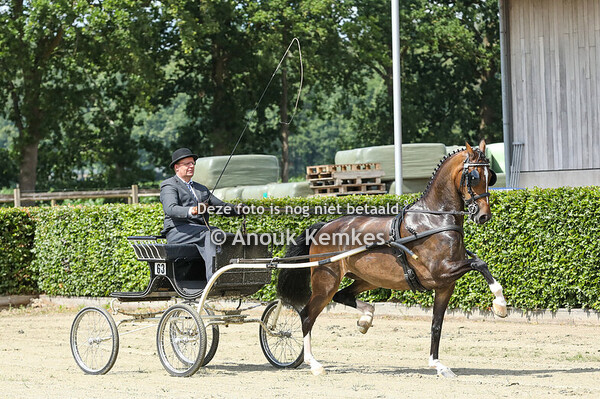 Alternatieve Ibop - Roline S ( Fantijn x Eebert )