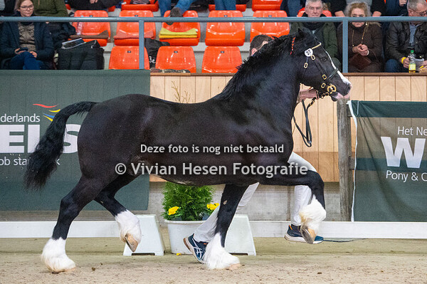 2e Bezichtiging Sectie C & D