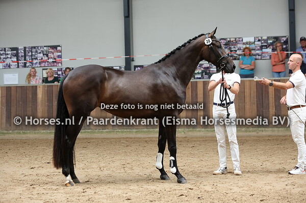 28 Semmy Mae (Dante Weltino x Oronia v. Jazz)