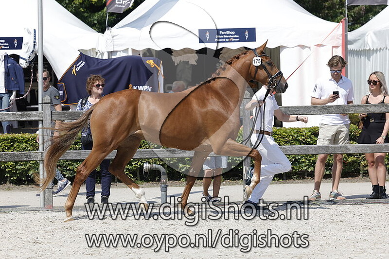 Passiana v. Taminiau