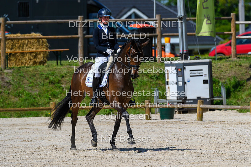 2 Jonge Paarden Dressuur 5 Jarige