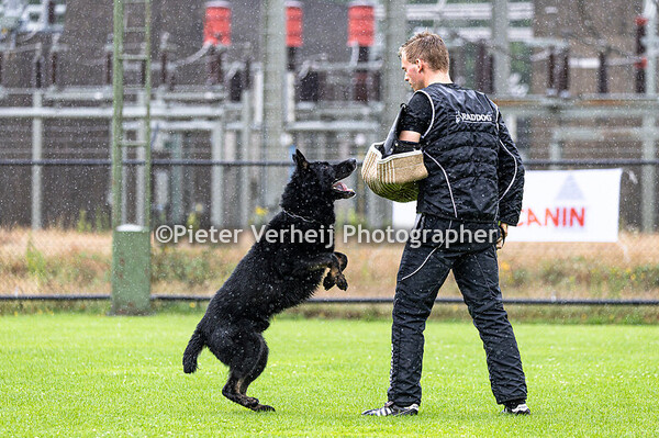 Andre van Eekelen met Sam vom Meerblick