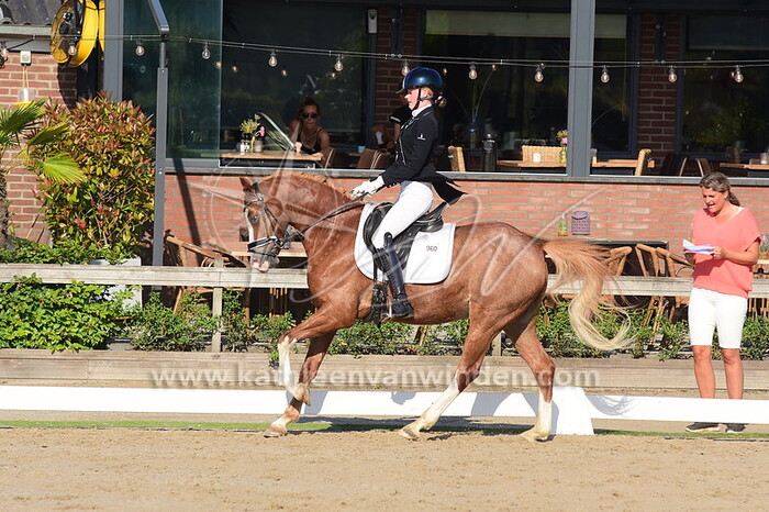 Rosanne Copier - HSH Kingston