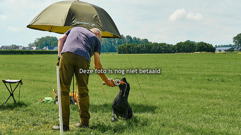 ochtend (apport uit diep water)