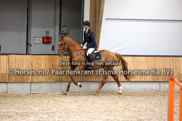 12 Silent Touch VN (United Touch x Arezzo VDL)