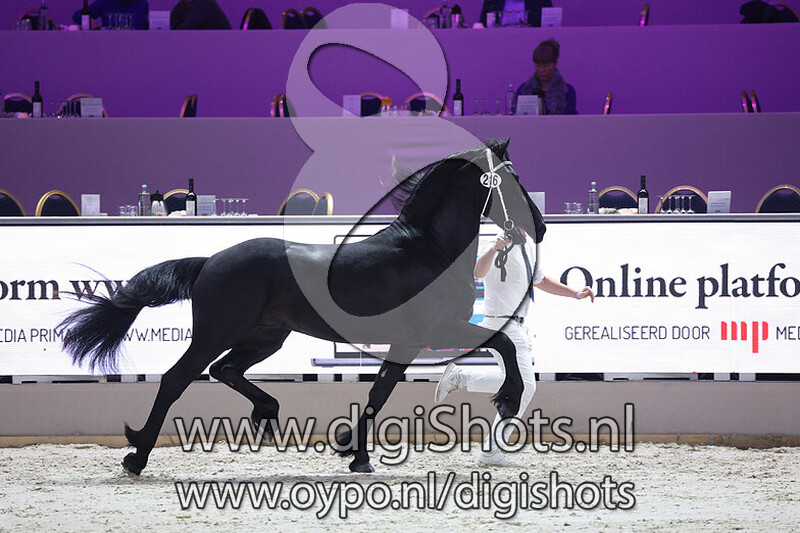 Topper van t Hoge Meinen v. Waander 512