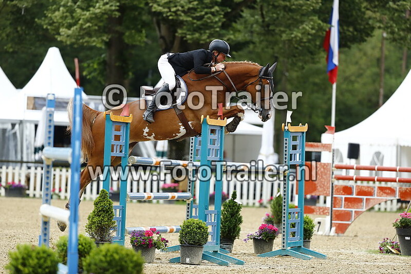 dennis van den brink