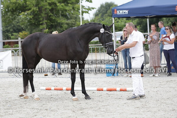 143 Noa Rubin Royal x Sibraldi v. Gibraldi)