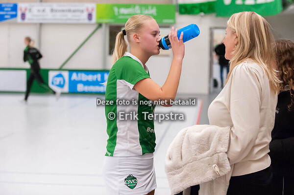 DVO/Transus B1 - Albatros B1