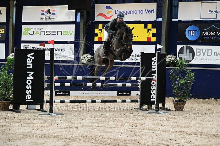 Marinca van den Heerik - Kendo DLA