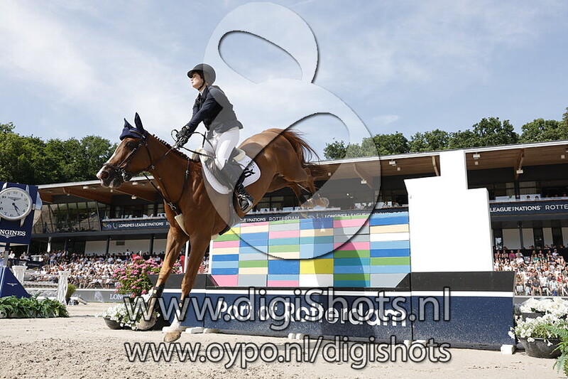 Portobella van de Fruitkorf