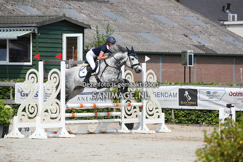 Zilfia's Hoeve Springen 09-07-2023 Pony's 80 cm