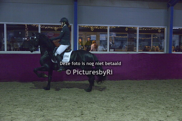 Springen paarden+extra 8-11-2025