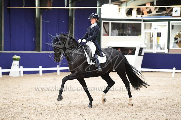 Kim Noordijk - Kingston Vienna D