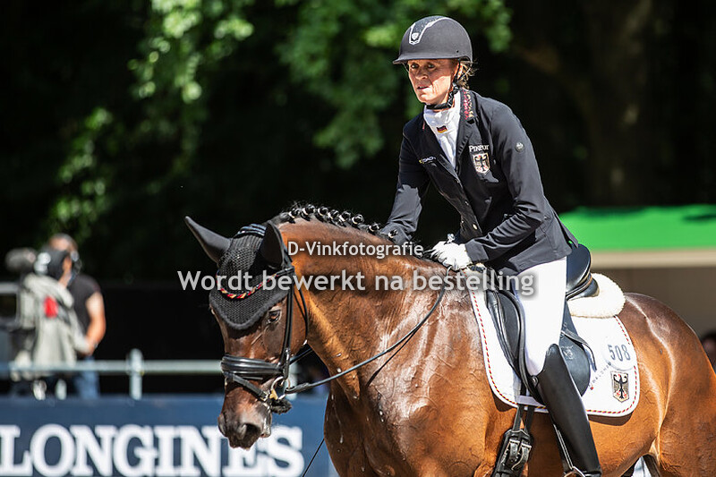 Regine Mispelkamp Look at me now