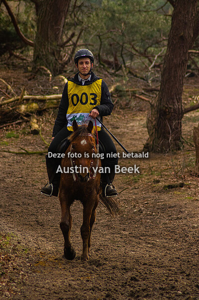 Endurance 07-03-2020