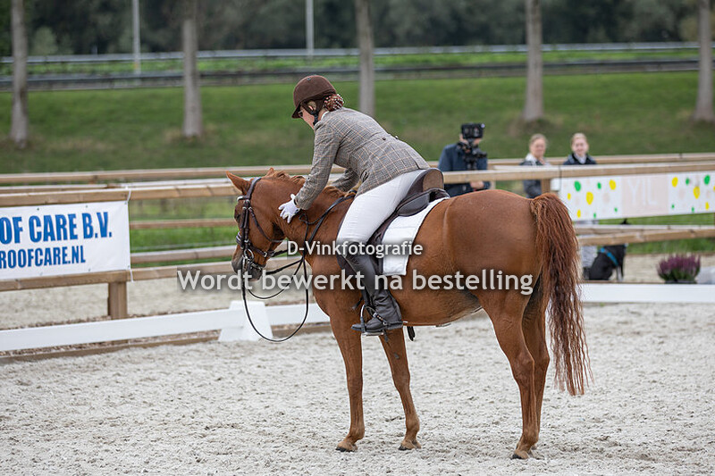 Zissely van Bercum - Navajo