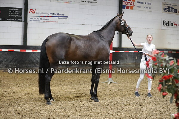 107 Marley (Dream Boy x Dayenne v, Zizzi Top)