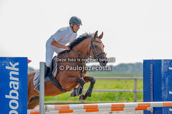 Bucephalus klasse 100 paarden