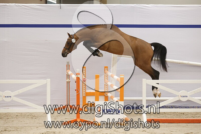 Phoenix Gold R.T. Z v. Perigueux