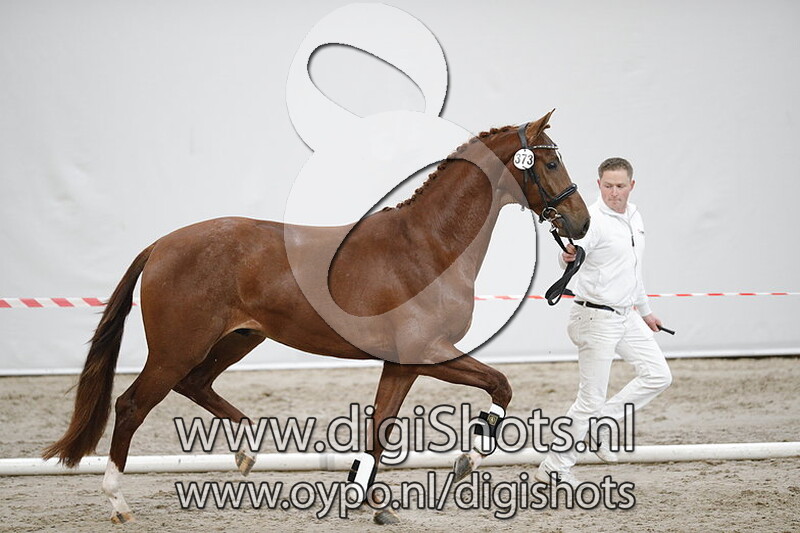 Mission v. Eye Catcher