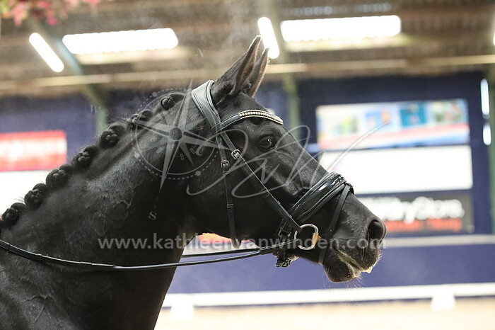 Jessica van den Bosch - Nickolawaard