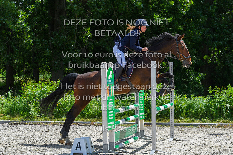 4 Paarden 80-90cm