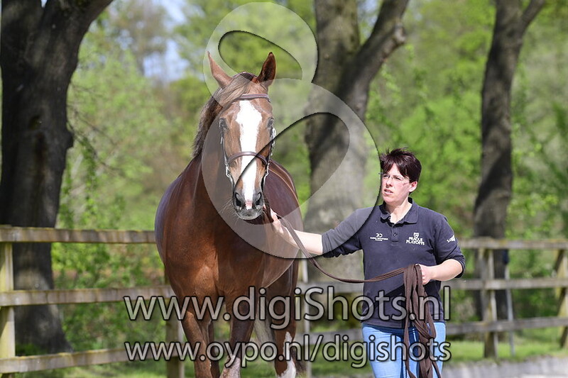 Panama van 't Roosakker