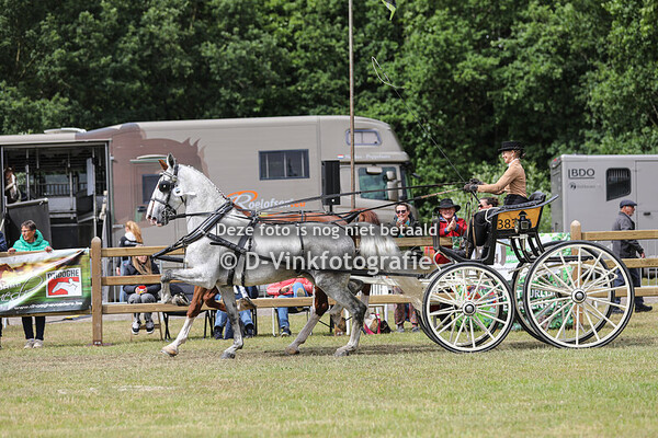 24. Tweespannen tuigpaarden