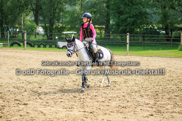 CH Manege Sintels Pony 70 c 19-05-24