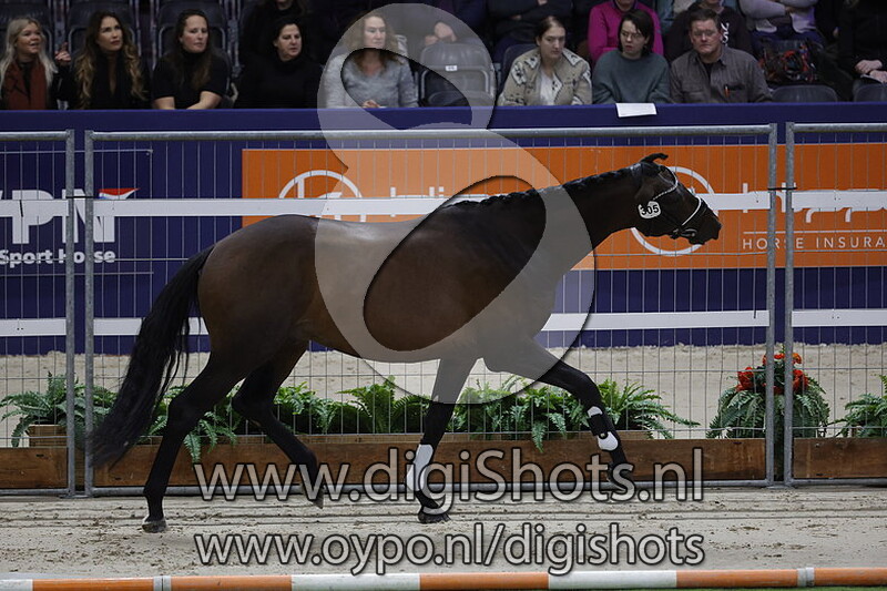 Percy Jackson v. Blue Hors Fifty 305