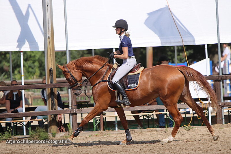 Horka Concours 01-09-2022 90cm
