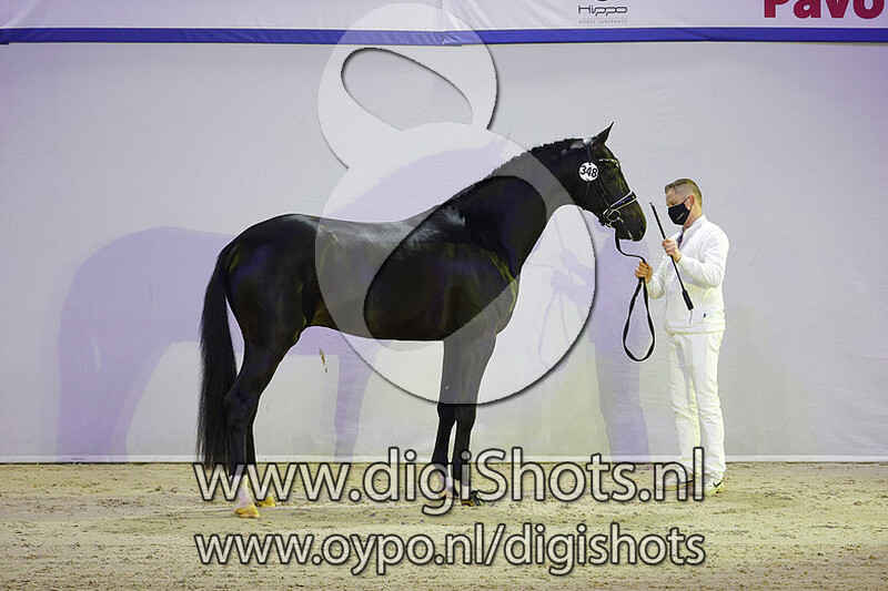 Noble Savage v. Dettori