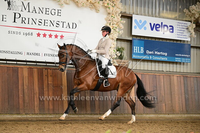 Dana van der Meer - Skeyler