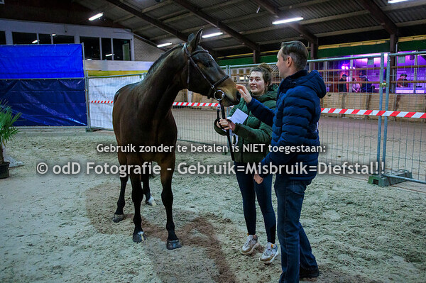 Jumpers of the future Oirschot 4-jarigen 23-02-24